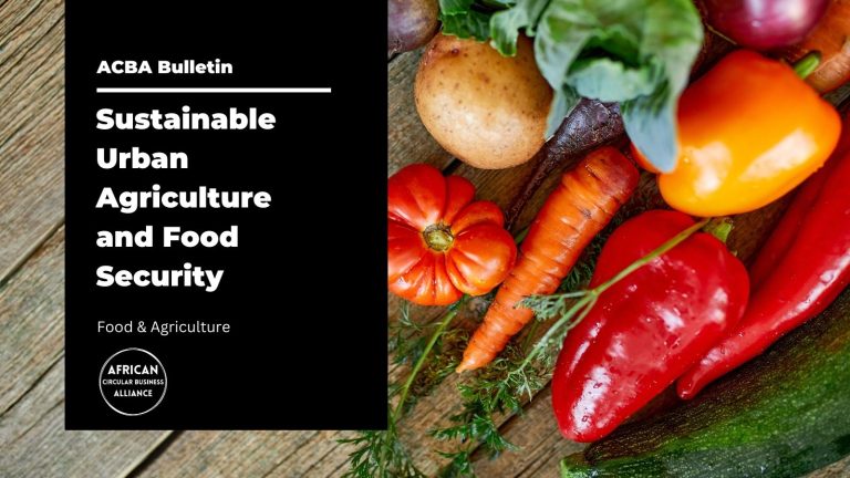 Read more about the article Sustainable Urban Agriculture and Food Security in Africa