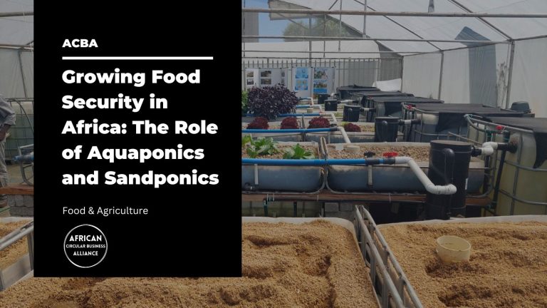 Read more about the article Growing Food Security in Africa: The Role of Aquaponics and Sandponics